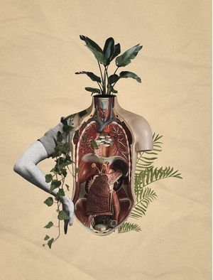 PLANT?RE