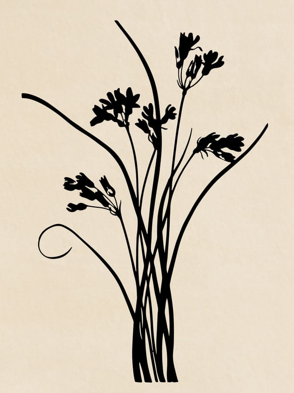 MINIMAL FLOWER 02