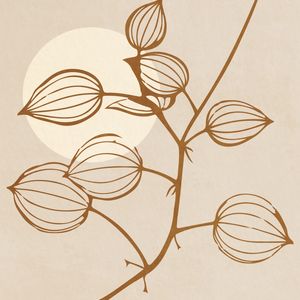 MINIMAL PLANT 05
