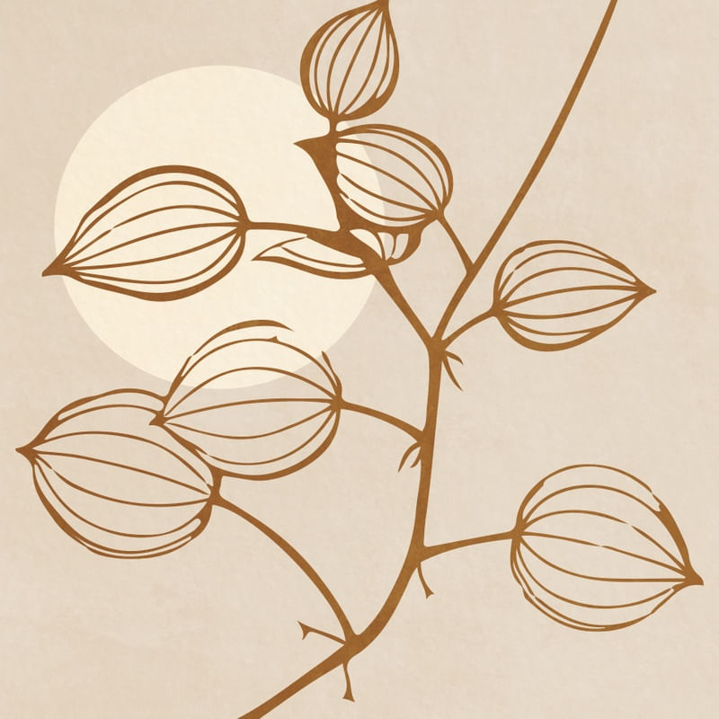 MINIMAL PLANT 05