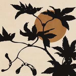 MINIMAL PLANT 06