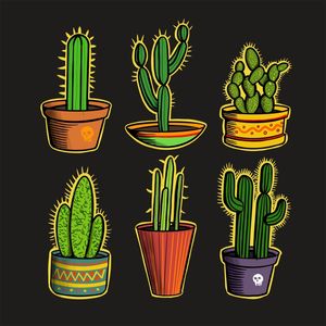 CACTUS LOVERS