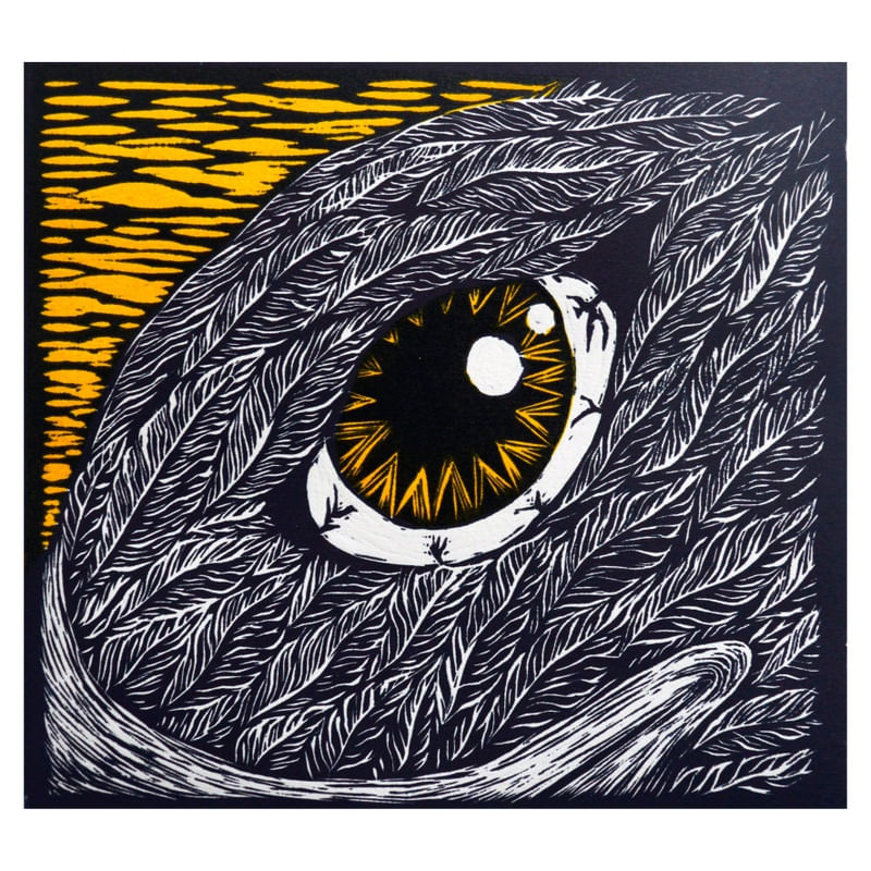OLHARES 4