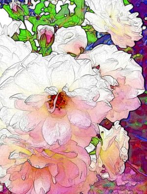 ROSAS ABISTRATAS