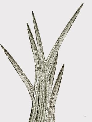 ABSTRACT PLANT 1985