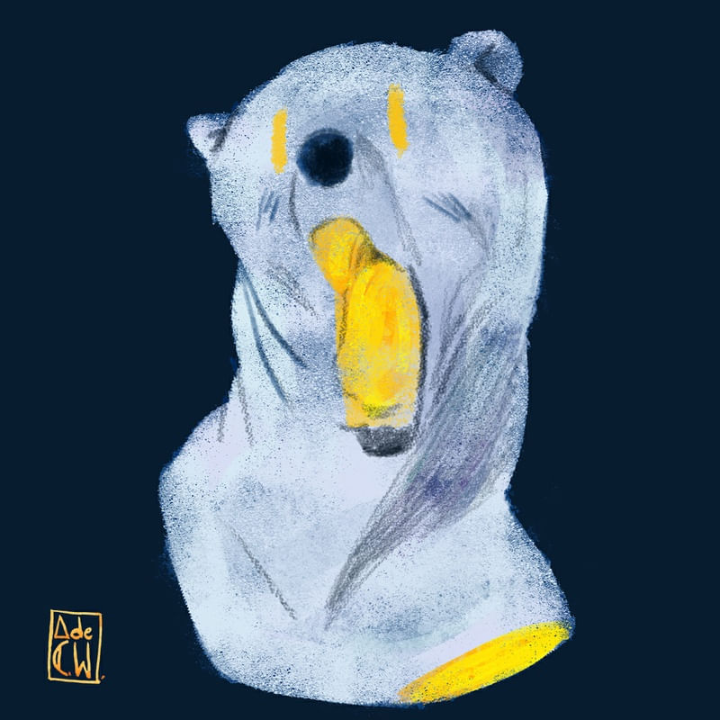 WHITE BEAR