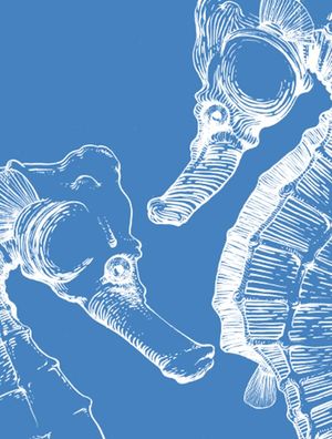 SEAHORSES