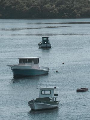BARCOS 03