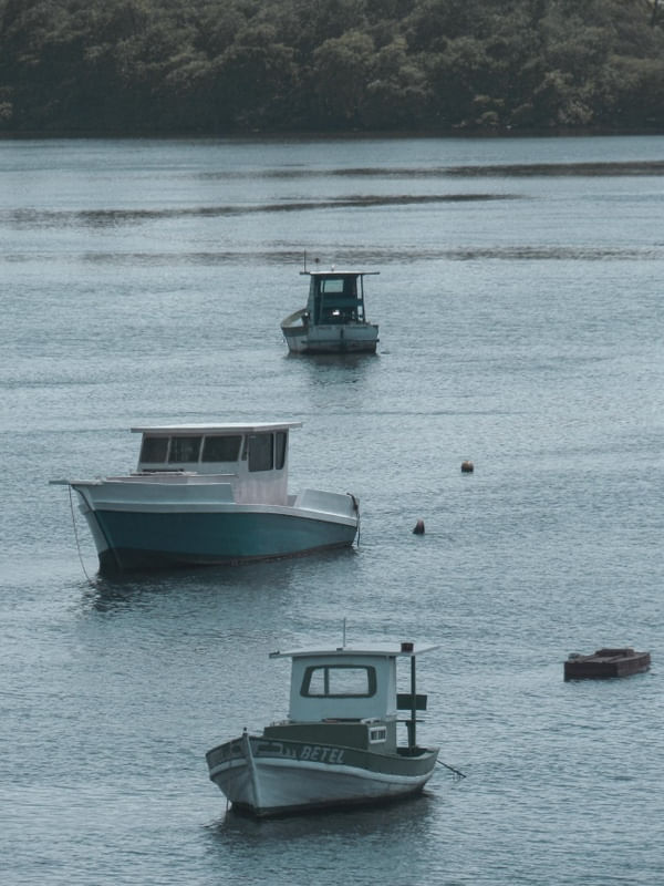 BARCOS 03