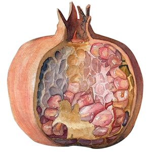 FRUTO DE ROMÃ