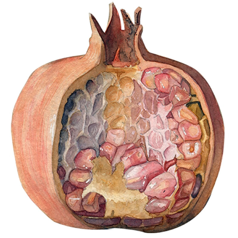 FRUTO DE ROMÃ