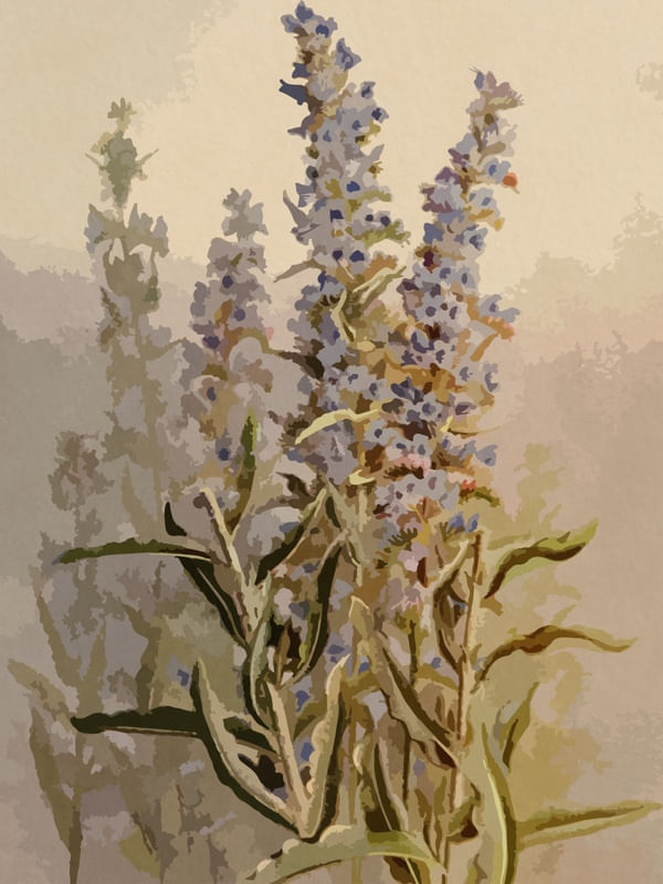 FLOWER 6