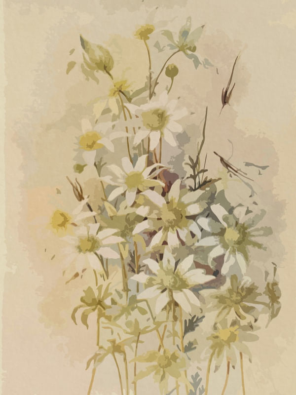 FLOWER 3