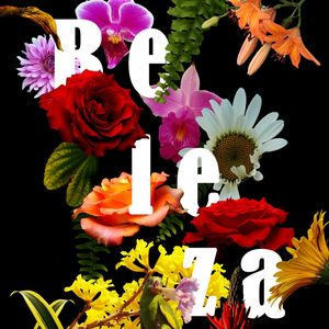 BELEZA 6 ES
