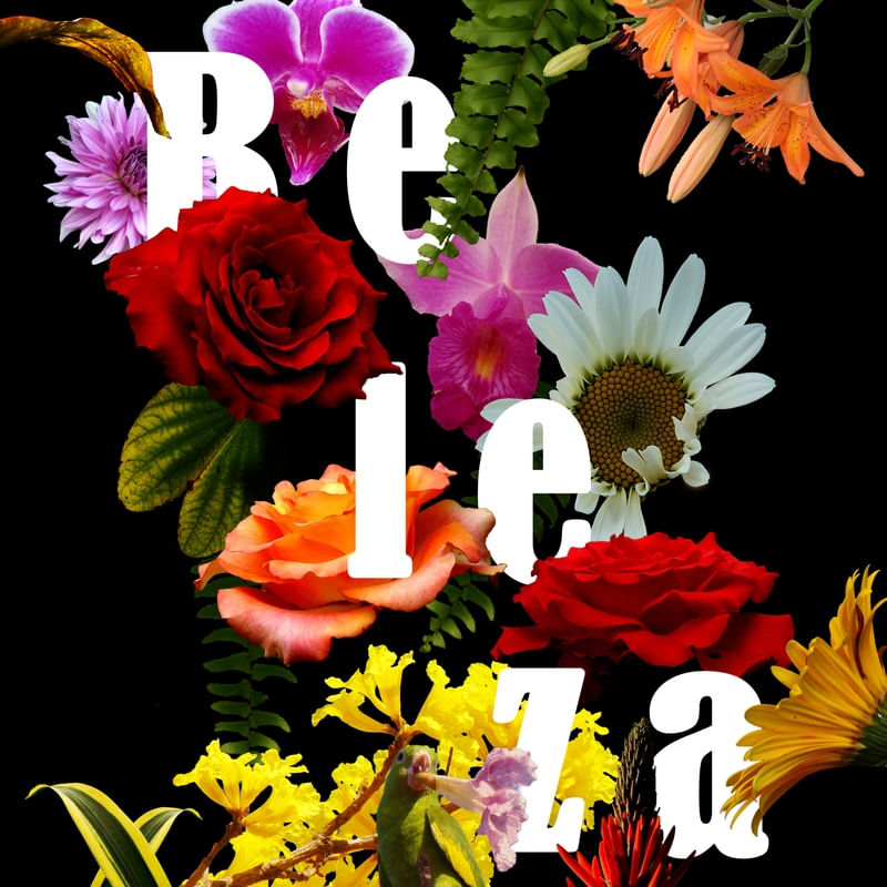 BELEZA 6 ES