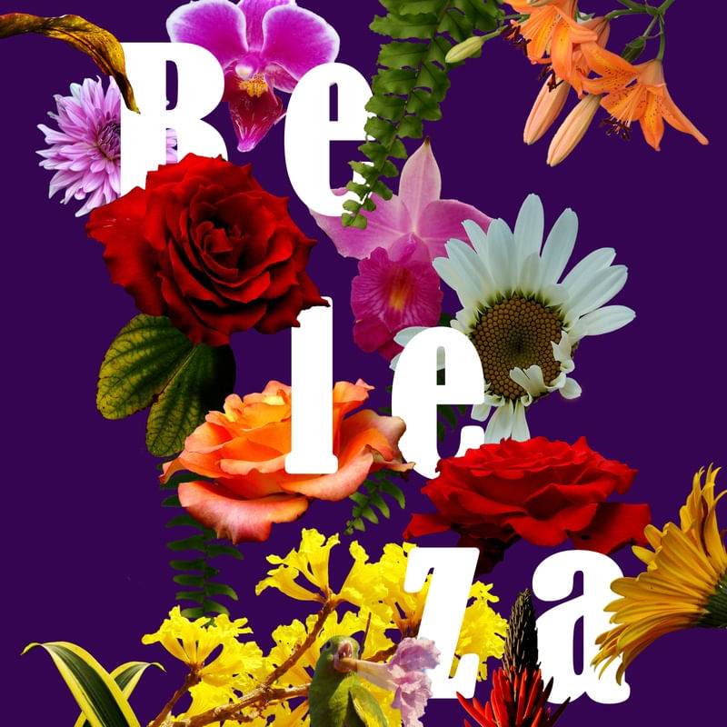 BELEZA 8 ES