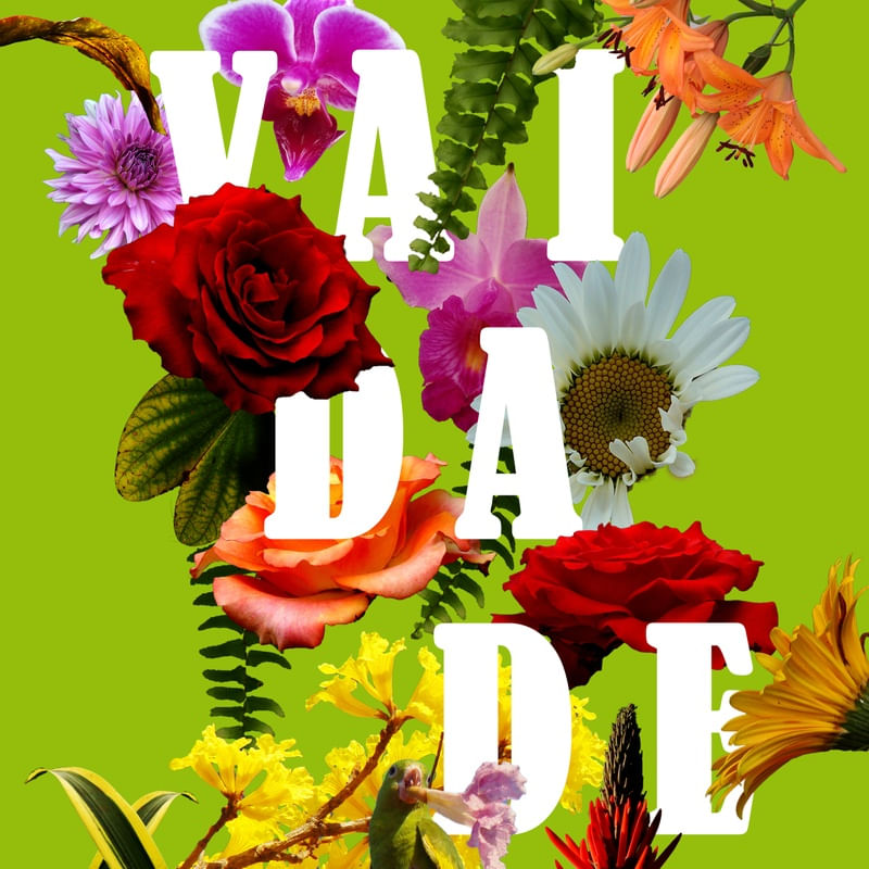 VAIDADE 2 ES