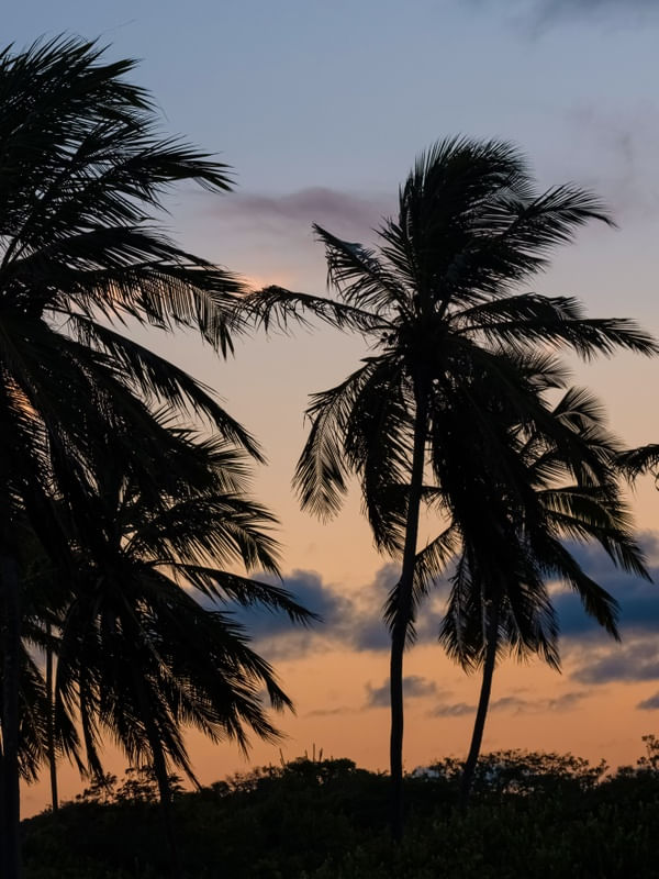 CREPÚSCULO NO GUAXINIM_02