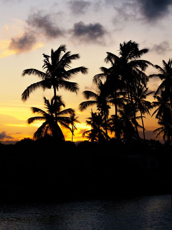 SUNSET NO GUAXINIM_02