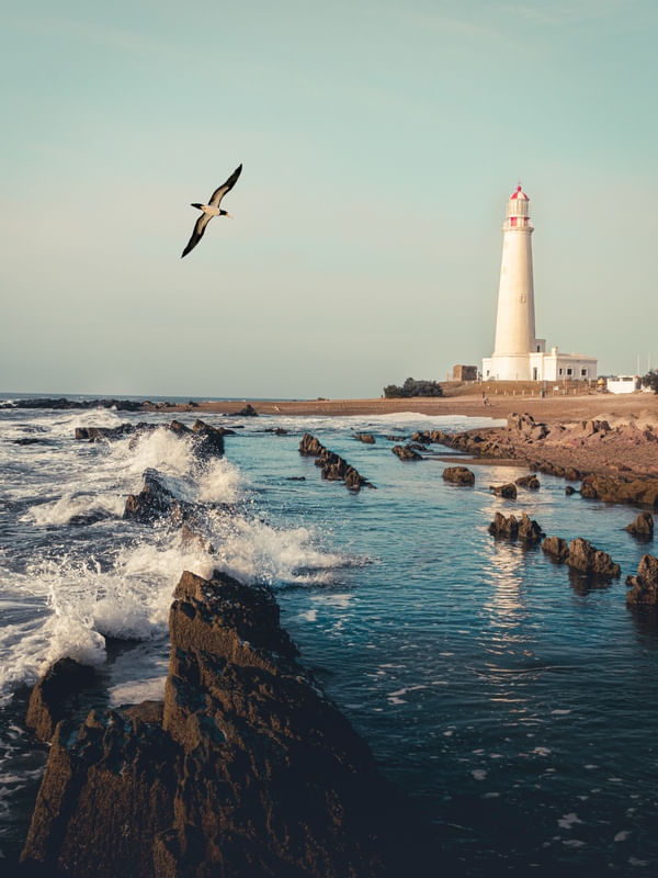 FAROL DE LA PALOMA
