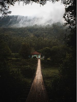 CASA NA NATUREZA