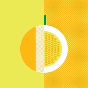 GEOMETRIC MELON
