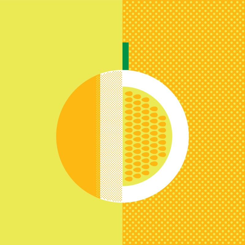 GEOMETRIC MELON