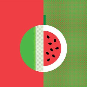 GEOMETRIC WATERMELON