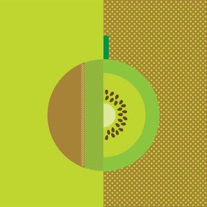 GEOMETRIC KIWI