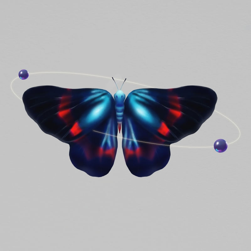 DUALITY I