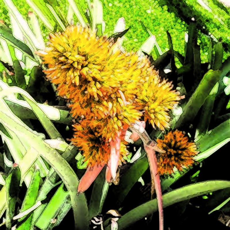 PLANTA CIDADE JARDIM 6