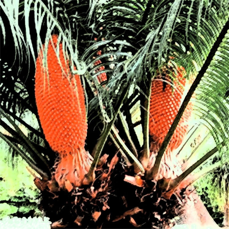 PLANTA CIDADE JARDIM 8