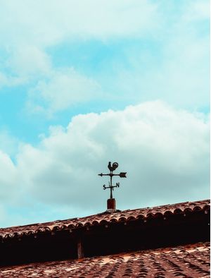 CATA-VENTO GALO