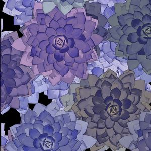 FLORES DE LÓTUS AZUIS
