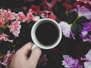 MEU CAFÉ, MEU JARDIM