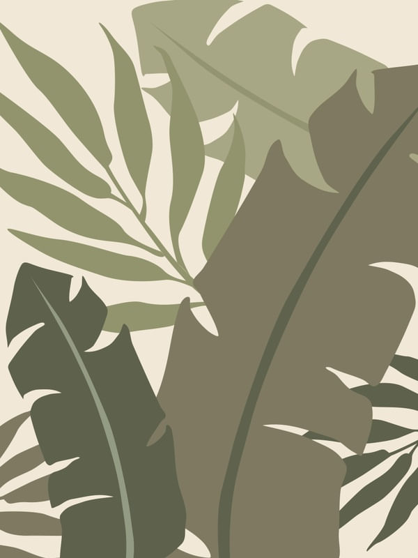 FLORESTA TROPICAL 2