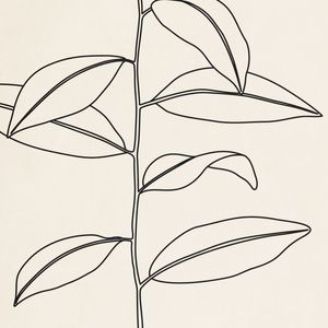 LINE TROPICAL 01