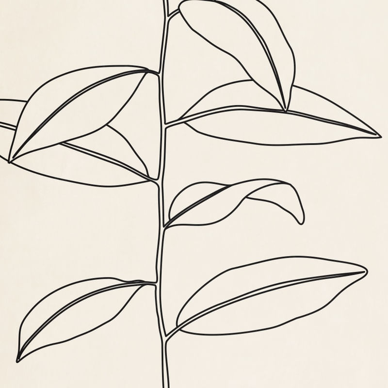 LINE TROPICAL 01