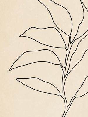 TROPICAL LINE 02
