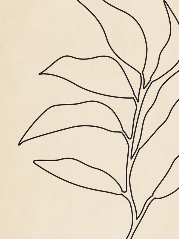 TROPICAL LINE 02