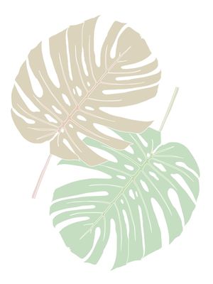 CLEAN LEAVES