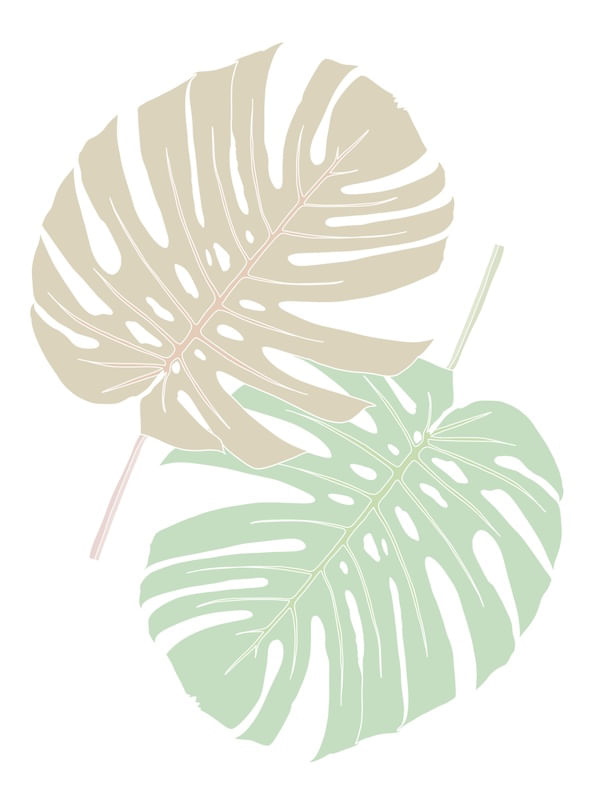 CLEAN LEAVES
