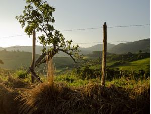 PARAGENS DE MINAS