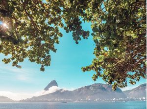 PÃO DE AÇÚCAR DE MANHÃ