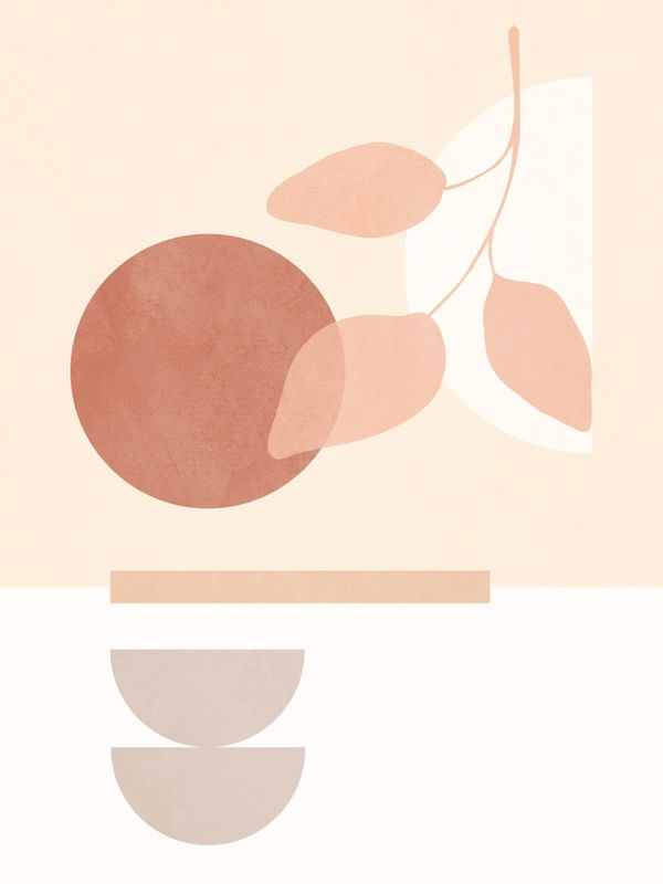 BOTANICAL MINIMAL GEOMETRIC SHAPES 6