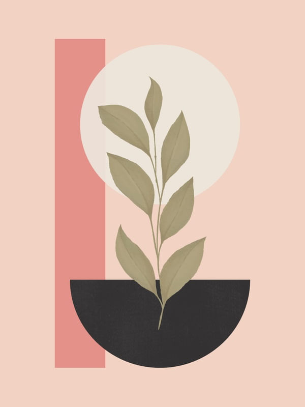 TROPICAL GEOMETRY 11