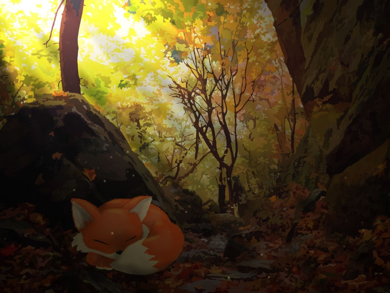 ROCCELOS AUTUMN FOX