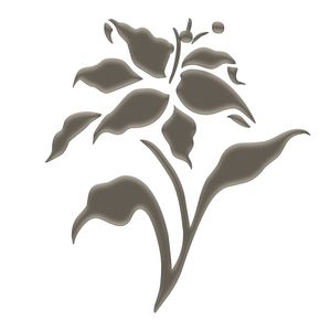 FD1