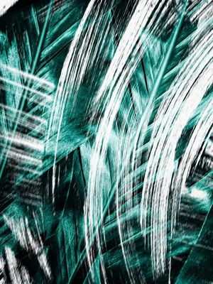 RAINING FOREST COLLECTION - NO1