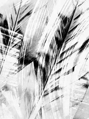 RAINING FOREST COLLECTION - NO3